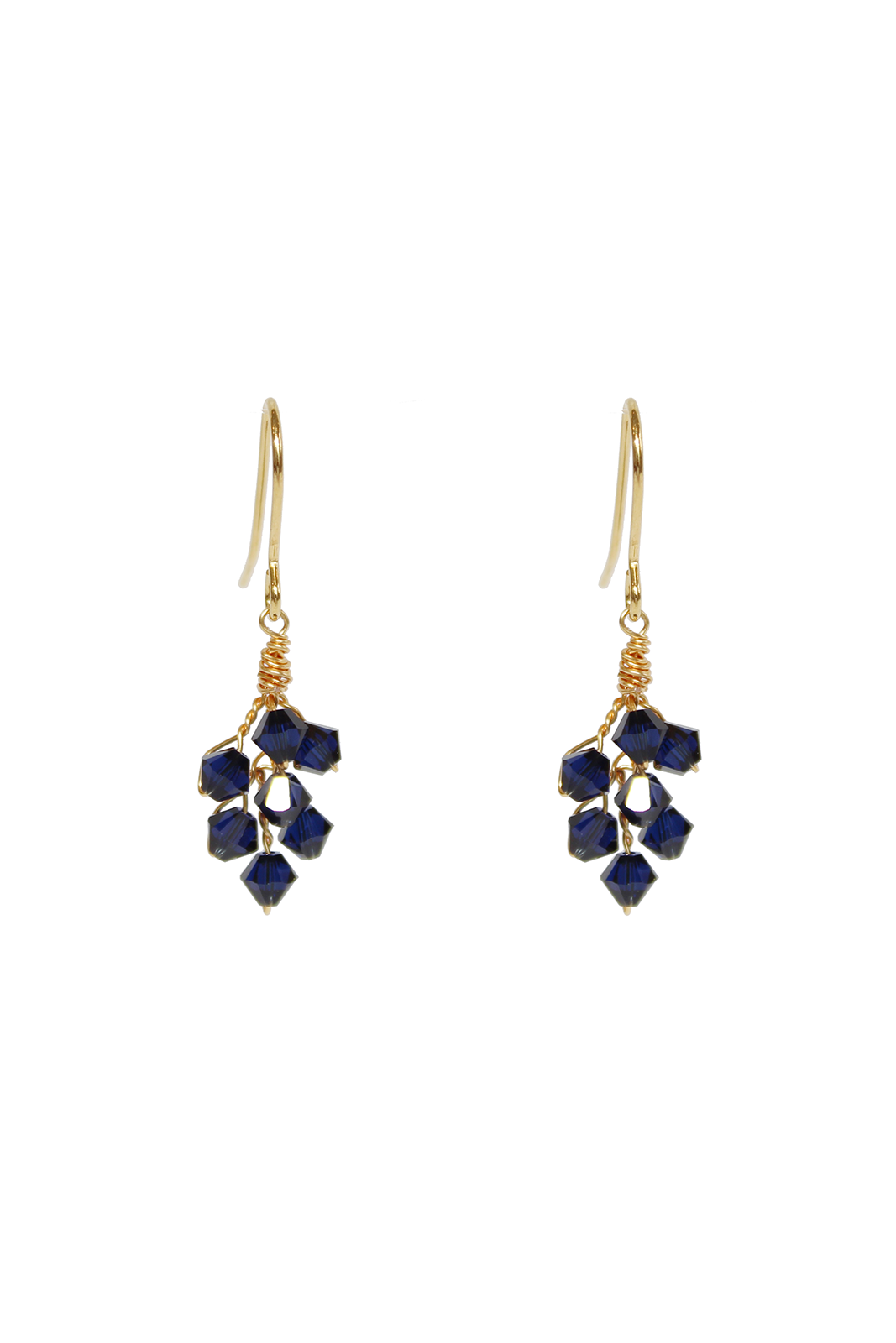 Eros Navy Earrings